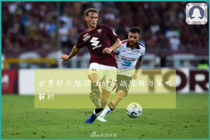 世界杯买球投注的实战思路与策略解析
