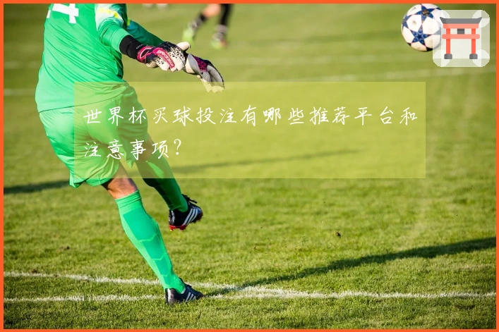 世界杯买球投注有哪些推荐平台和注意事项？