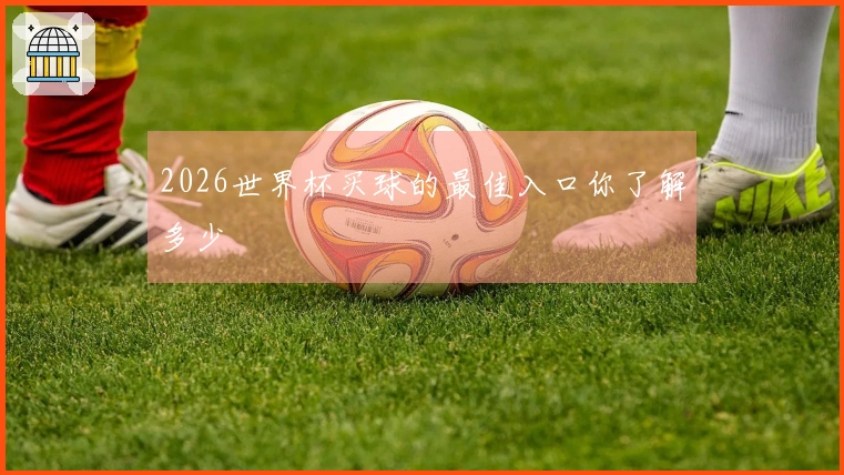 2026世界杯买球的最佳入口你了解多少