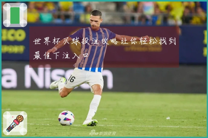 世界杯买球投注攻略让你轻松找到最佳下注入口